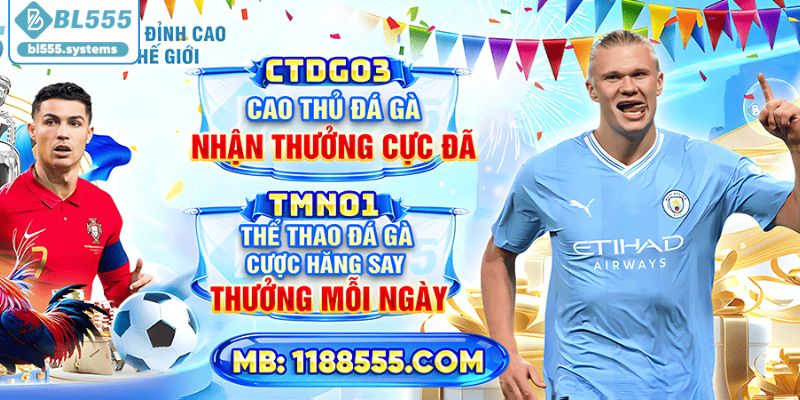 BL555 là gì? Nền tảng trực tuyến hiện đại BL555 là gì? Nền tảng trực tuyến hiện đại